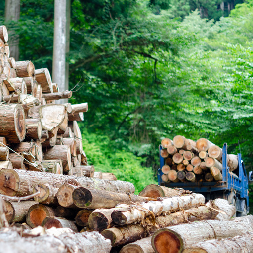 Forestry · Fisheries · Agriculture