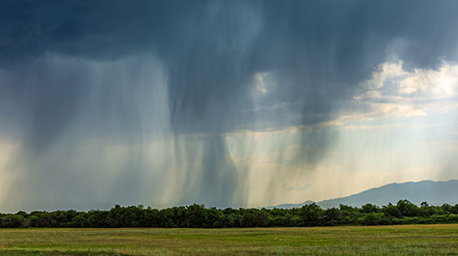 Probabilistic Modeling of Hourly Precipitation Jointly with ERA5-Land: Application of Geostatistical Simulations